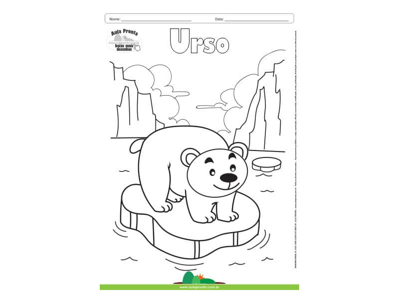 Desenho para Colorir – Animais - Urso