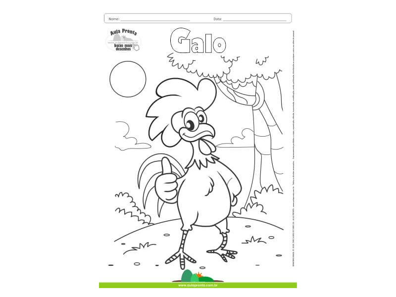 Desenhos para Colorir - Galo