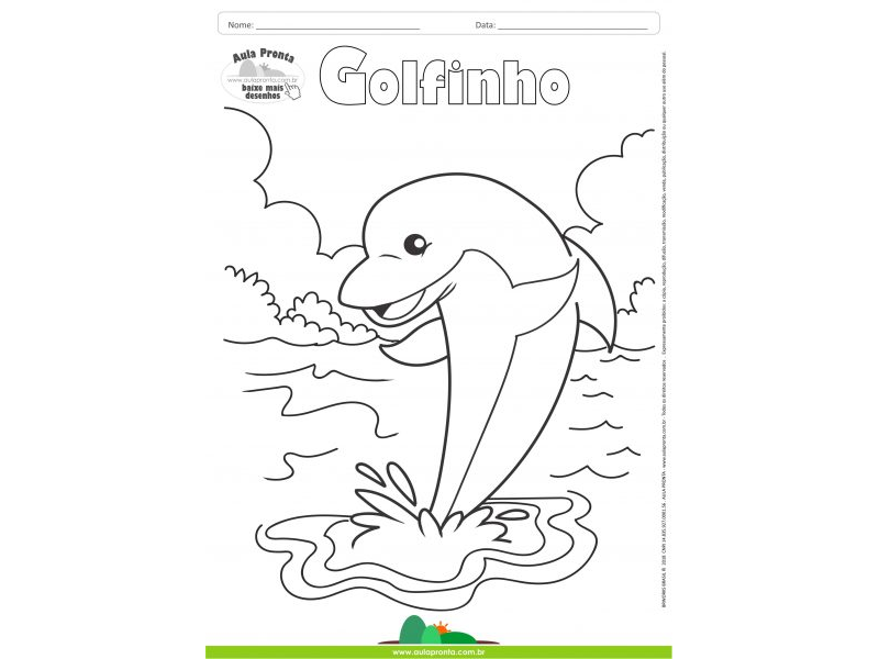 Desenhos para Colorir - Golfinho