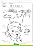 Desenhos para Colorir – Macaco