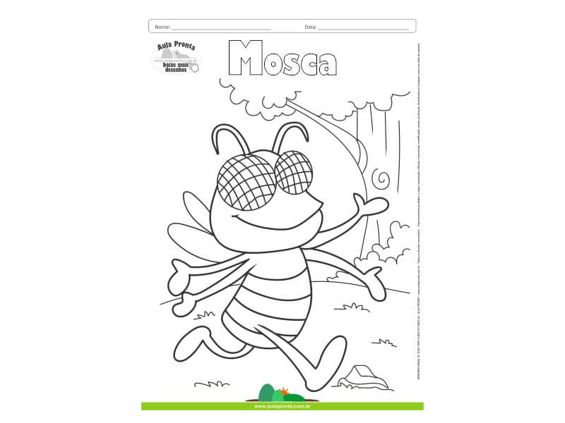 Desenhos para Colorir – Mosca