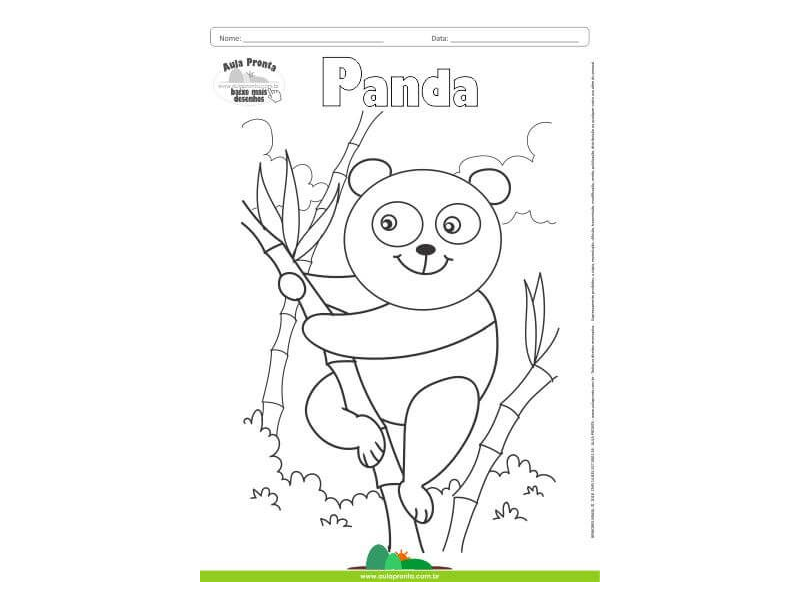 Desenho para Colorir – Animais - Panda - Aula Pronta