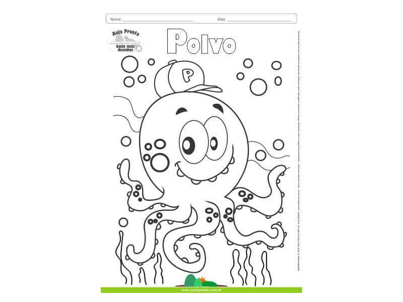 Desenhos para Colorir – Polvo