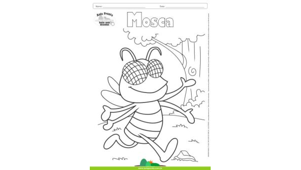 Desenhos para Colorir – Mosca