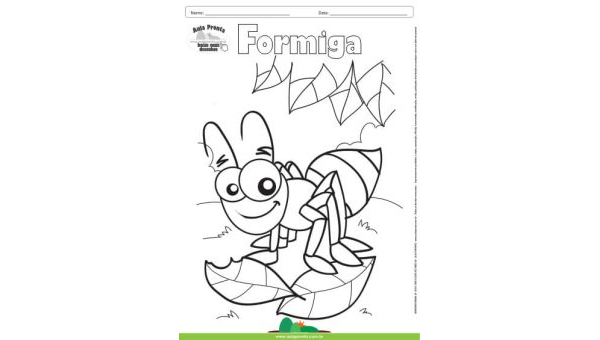 Desenho para Colorir – Animais - Formiga