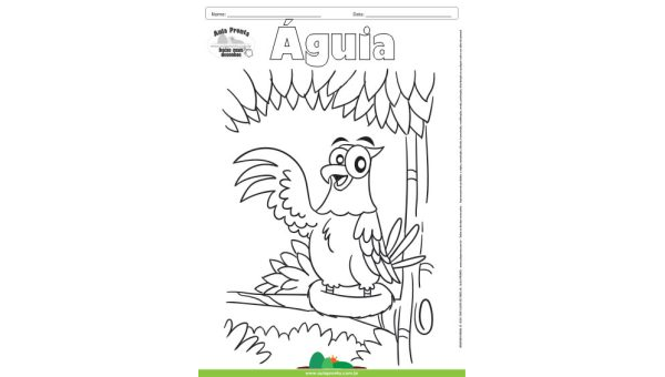 Desenho para Colorir – Animais - Águia