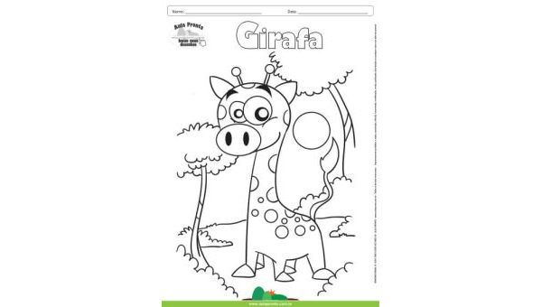 Desenho para Colorir – Animais - Girafa