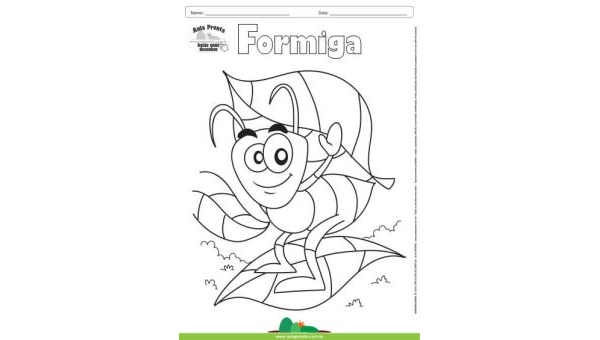 Desenho para Colorir – Animais - Formiga