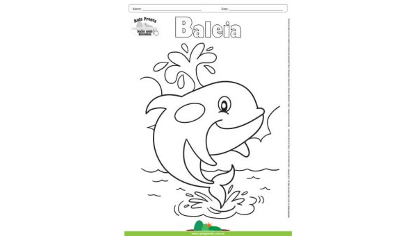 Desenho para Colorir – Animais - Baleia